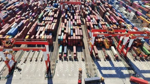 從海上起點到空中班車 上海激活跨境物流新動能——活力中國調研行